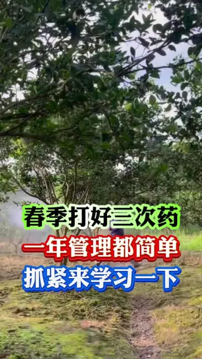 春季打好三次药，一年管理都简单#果树种植 #果树管理 #病虫害防治 #果园管理