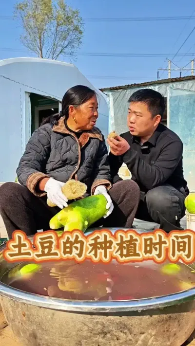 土豆的种植时间 家里的土豆发芽了能种吗#土豆种植 #土豆发芽 #生菜杨姐 #种土豆 #蔬菜种植 @DOU+小助手
