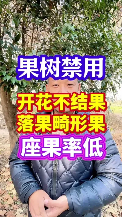 #授粉座果精 #保花保果 #促花保果 #分享农业知识帮农民增产增收 #抖音助农