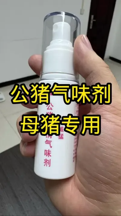 公猪气味剂， 代替公猪，让母猪更好养，配种成功率高，产仔多。68元发2瓶，170元发5瓶。#创作灵感