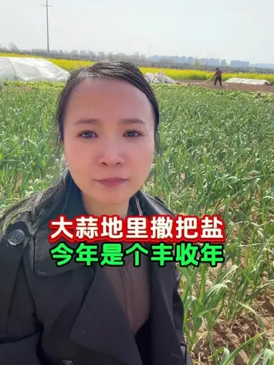 清明蒜地撒把盐，今年是个丰收年 #大蒜种植技术 #大蒜高产必须这样做 #大蒜病害防治 #葱姜蒜菌净