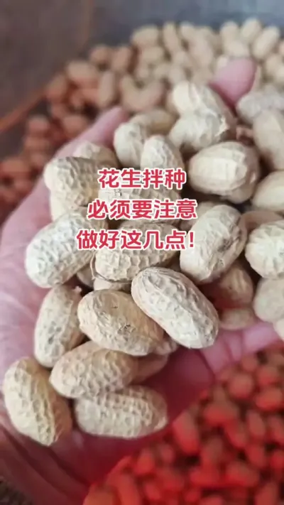 #花生拌种要注意这几点#抖音助农 #新农人 #种植 #关注我