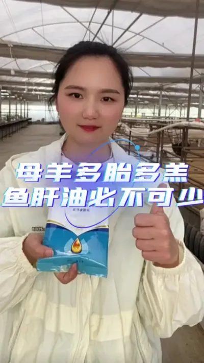 母羊多胎又多羔#养羊用鱼肝油 #鱼肝油 #羊用鱼肝油