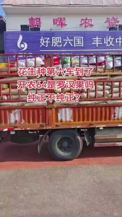社旗县朝晖农资。开农64是不是罗汉果纯不纯？#农业人 #抖音助农 #花生 #农业种植 #种地不容易