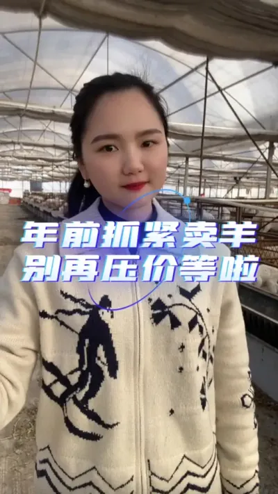 年前抓紧时间慢摇别再等啦#养羊知识 #回家的路就是最美的风景 #羊价行情 #自繁自养 #养羊人