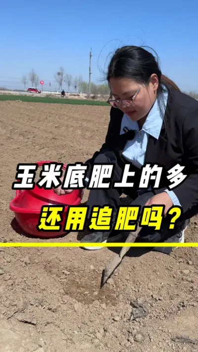 玉米底肥上的多，还用追肥吗？#玉米 #玉米底肥#叶面肥#玉米种植 #三农