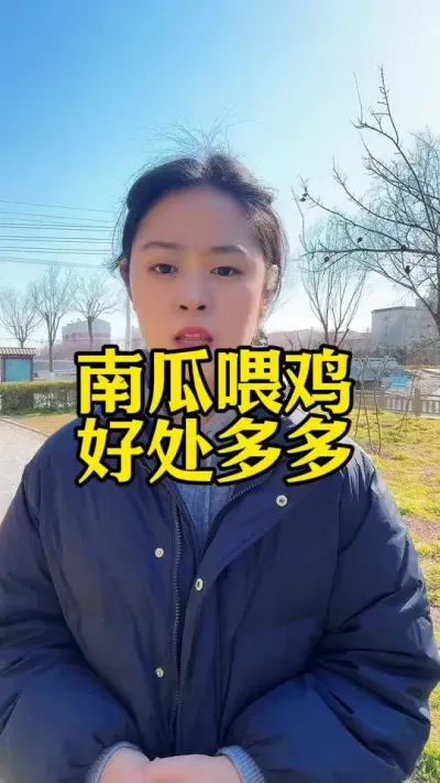 南瓜喂鸡，好处多多#科学养鸡 #鸡鸭鹅养殖 #服务三农支持三农 #养殖小妙招 #养鸡人