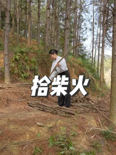 拾上柴火，开启农村美食。 #小树林  #农村生活 #大山里的生活 #农村女孩日常 #我的乡村生活