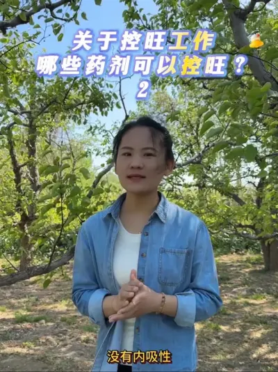 哪些药剂适合梨树控旺使用？肥水也能控旺吗？#来抖音学农技 #梨树 #果树种植 #控旺 #促花保果