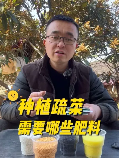 种植蔬菜需要哪些肥料？既简单又实用？#种植小技巧 #关注我一起学种菜 #记录我的种植生活 #阳台种菜 #我的小菜园