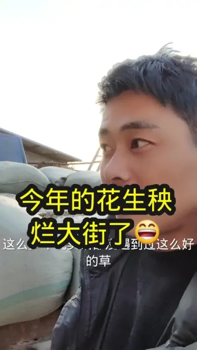 你们当地的花生秧啥价？#养羊 #农村养羊 #养羊人
