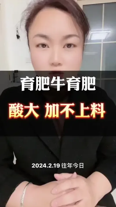 育肥牛酸大，加不上料#肉牛养殖 #全国养牛人 #西门塔尔 #科学喂养
