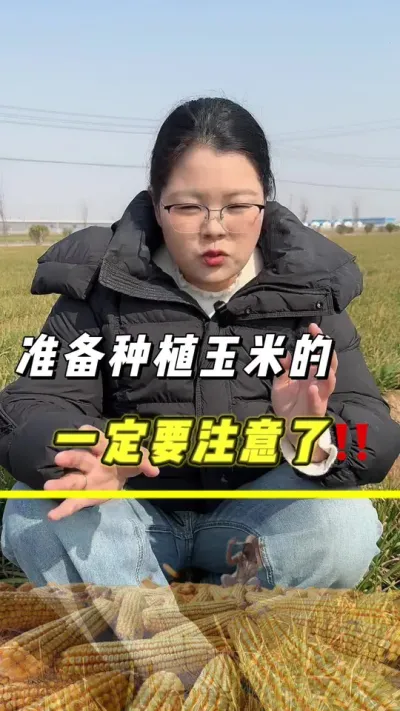 准备种植玉米的老乡；一定要注意了‼️#玉米 #玉米种植 #农业种植 #三农 #三农流量扶持计划