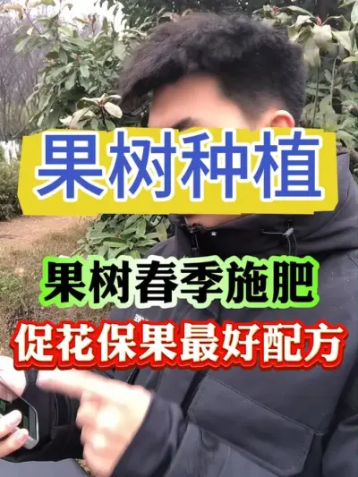 怎么还有人在问果树春季施肥到底是上午还是下午#果树 #果树种植 #果树管理 #果园管理