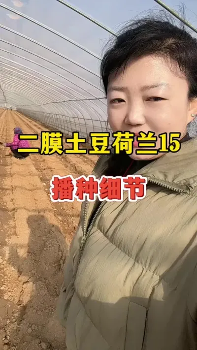 二膜荷兰土豆，播种细节#土豆 #土豆高产种植 @抖音小助手