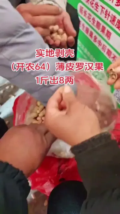 #抖音助农扶农 #农业种植 #花生 #农业人 #农民不易