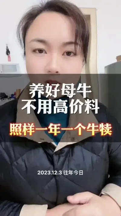 养好母牛，如何做到一年一个牛犊