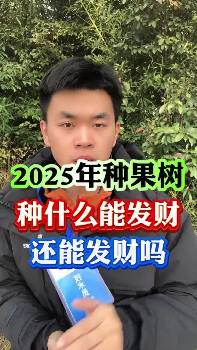 2025年种什么果树能发财#果树种植 #柑橘种植 #果树管理 #病虫害防治