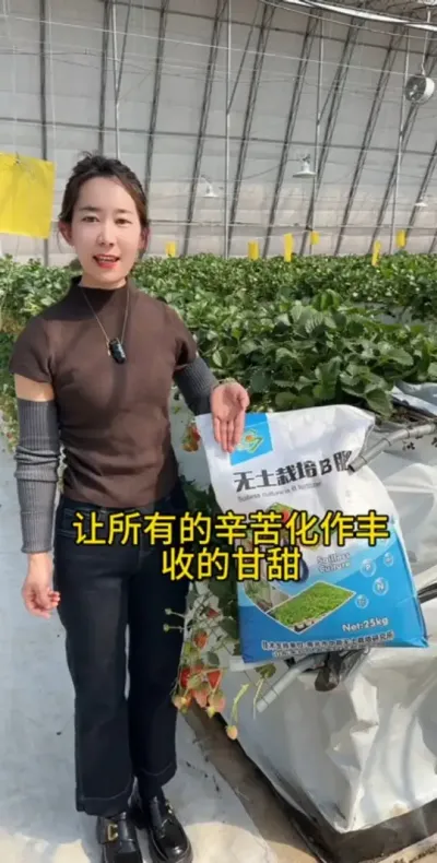 #农业种植 #草莓#无土栽培#三农
哪有永远的靠山，凡事都要靠自己，让所有辛苦化做丰收的甘甜，谷朴会一直陪你，不会辜负你的每一份付出