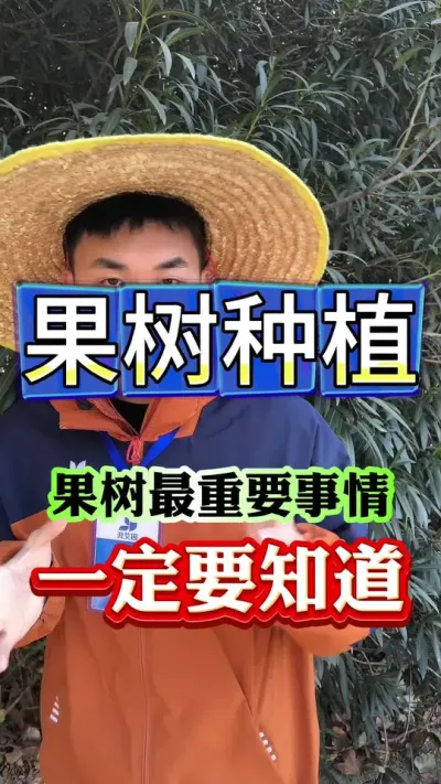 果树种植#果树管理 #果树种植 #果园管理