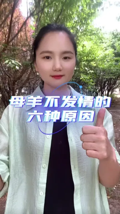 母羊不发情的六种原因#养羊技术分享 #羊价行情 #养羊人 #农村创业养殖 #养羊创业