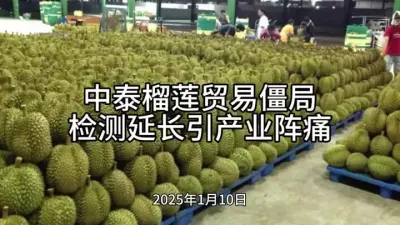 泰国榴莲在华遇冷：检测政策下的腐烂困局#全球农产品 @云食界展贸服务平台