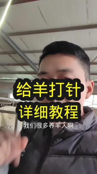 如何给羊打针#农村养羊 #养羊技术分享 #养羊创业 #养羊技术 #养羊知识