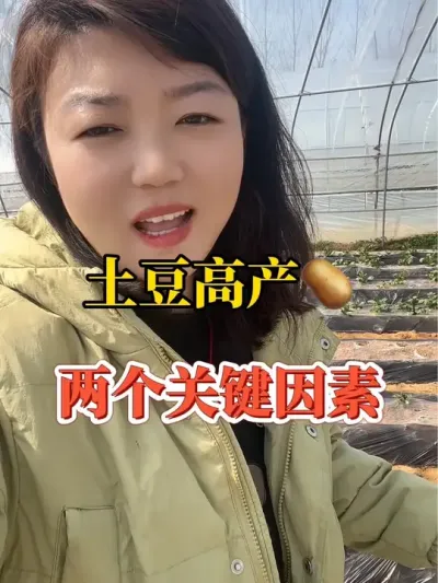 土豆高产的两个关键因素#春耕进行时 #土豆种植 #土豆🥔 @抖音小助手