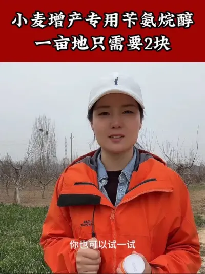 #小麦种植管理技术 #增产增收小配方 #小麦高产技术 #小麦种植