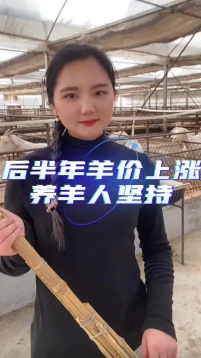 2025年羊价行情#养羊技术 #养羊技术 #养羊知识 #羊价行情