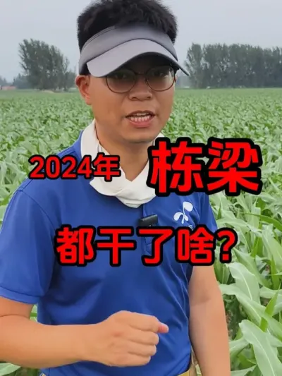 栋梁农业服务的一年 2024年干了不少事情，很有意义！2025年，还需继续努力！#2024年 #2025年 #农业种植