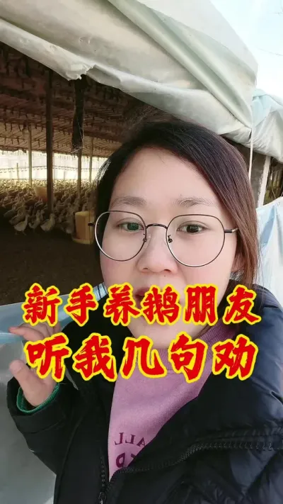 新手养鹅的朋友听我几句劝#养鹅技术分享 #养鹅 #养鹅人 #鹅 #三农