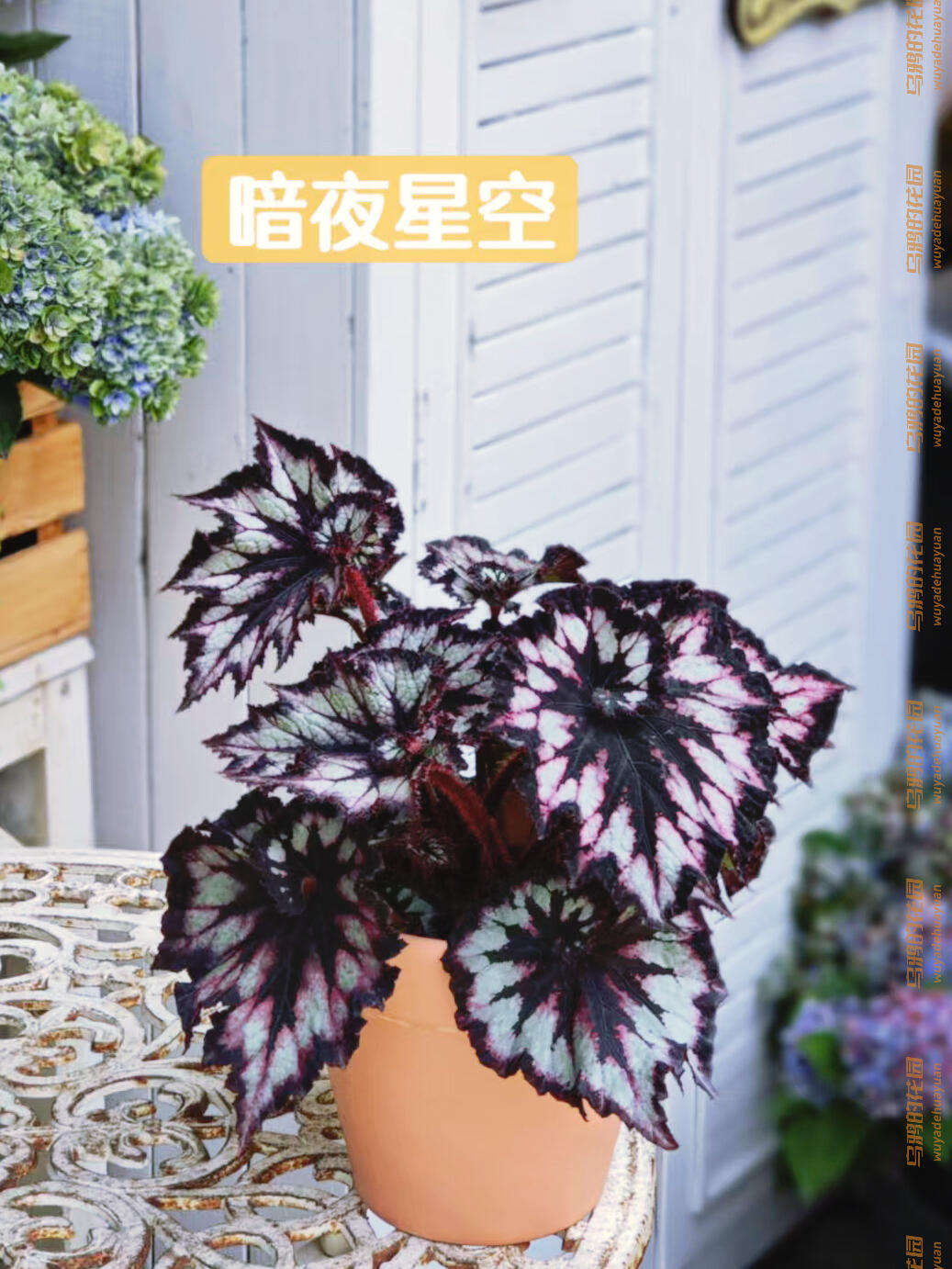 http://static.ixuenong.com/pxn/uploads/prod/thirdfile/2025/05/0afa03648e040eefc12eb999765cd7b7.jpg