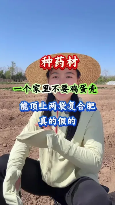 药材种植 种药材一个家里不要鸡蛋壳能顶上两袋复合的真的假的 #药材种植 #药材管理 #药材高产