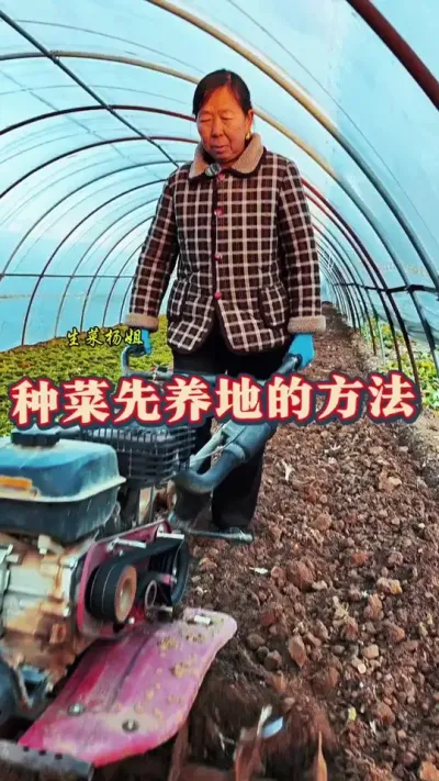 种菜先养地 种菜先养地的方法#种菜先养地 #蔬菜种植 #土壤改良 #种菜小技巧 #生菜杨姐 @DOU+小助手