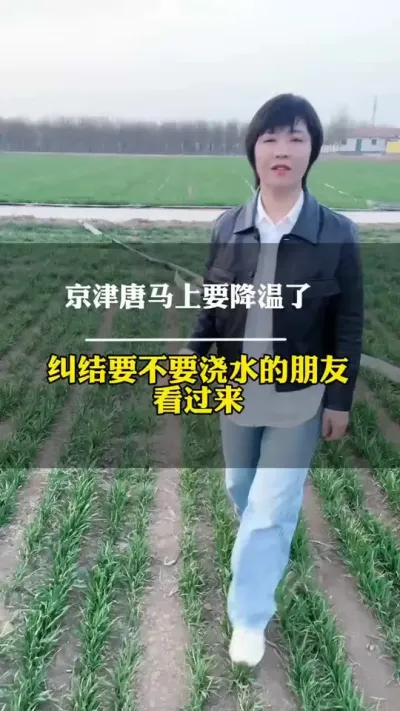 京津唐降温，要不要给麦子浇返青水？ #田间地头走一走 #小麦 #小麦管理 @抖音小助手