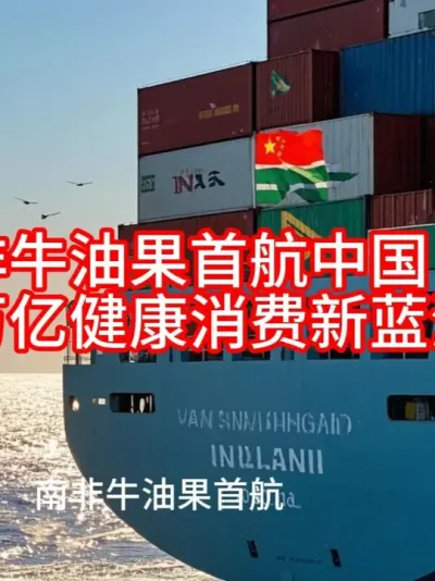 (73) 南非牛油果首航中国：以新鲜之名叩启万亿市场新机遇#全球农产品供应链 @云食界展贸服务平台