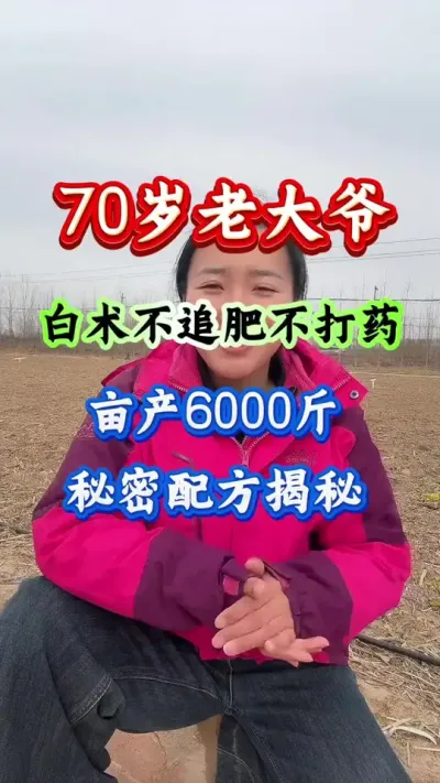 白术种植 白术不追肥不打药亩产6000斤秘密配方揭秘#药材种植 #白术种植#白术管理#白术管理
