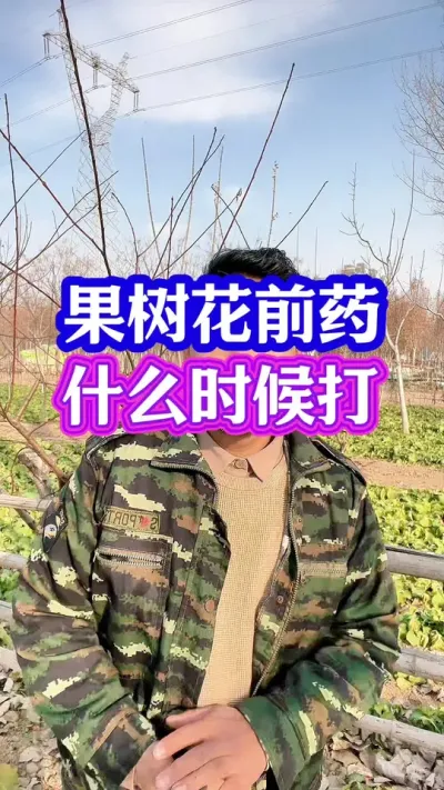 #保花保果 #授粉坐果 #促花保果 #分享农业知识帮农民增产增收 #抖音助农