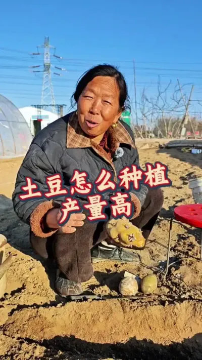 土豆的种植方法 立春后温度回升开始种植土豆#土豆种植 #种土豆 #种植小技巧 #生菜杨姐 #蔬菜种植 @DOU+小助手