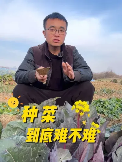 种菜到底难不难？种菜会遇到哪些困难与挑战？#我的小菜园 #种植小技巧 #关注我一起学种菜 #记录我的种植生活 #我爱种菜