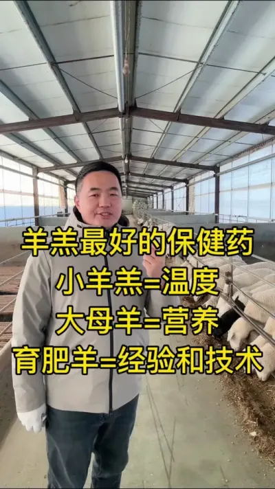 羊羔子最好的保健药是什么#农村养牛羊  #养殖不易每天记录生活  #每天分享养羊知识  #养羊创业