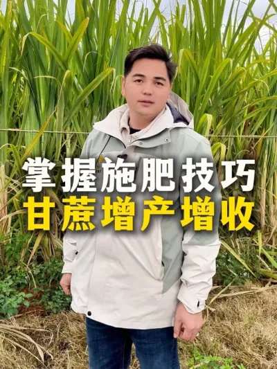 掌握施肥技巧
甘蔗增产增收#农业种植 #种植小技巧 #甘蔗种植 #甘蔗#肥料