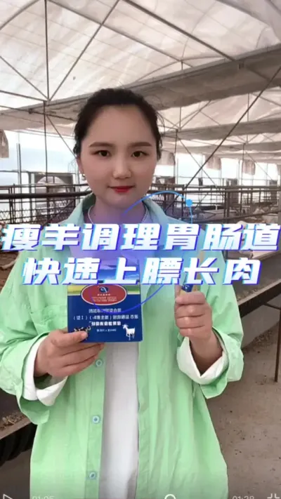 健胃增食消食快#养羊技术分享 #养羊创业 #三农养殖 #农村养羊