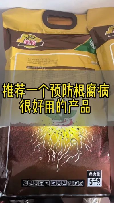 推荐一个预防草莓根腐病很好用的产品#新农人计划2024 #抖音助农 #草莓种植