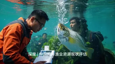 (31) 中国海洋渔业资源@#海洋生态 @云食界展贸服务平台