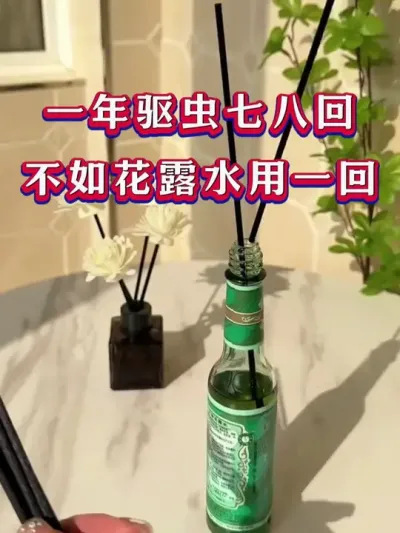 一年驱虫七八回不如花露水用一回 #养羊 #养羊人 #新手养羊 #牛羊养殖