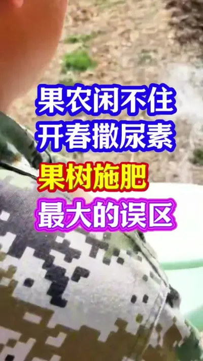 #促花保果 #促花肥 #果园管理 #抖音助农 #分享农业知识帮农民增产增收