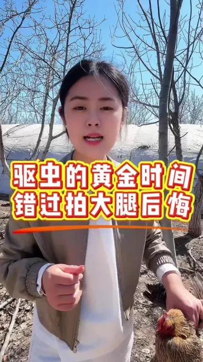 驱虫的黄金时间到了错过拍大腿后悔 #鸡鸭鹅养殖 #科学养鸡 #鸡病防治 #养殖小妙招 #服务三农支持三农