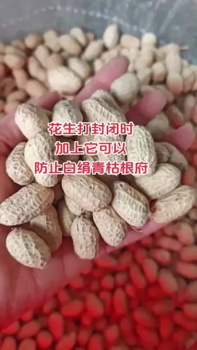 #花生 #抖音助农 #新农人#种植#朝晖农资
